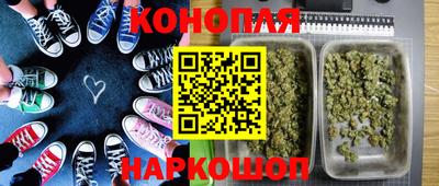 шишки Апшеронск