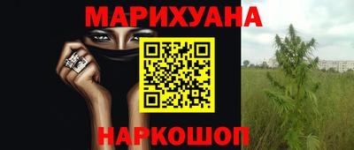 шишки Апшеронск