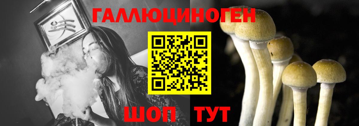 Псилоцибиновые грибы Psilocybine cubensis  купить наркоту  Канаш 