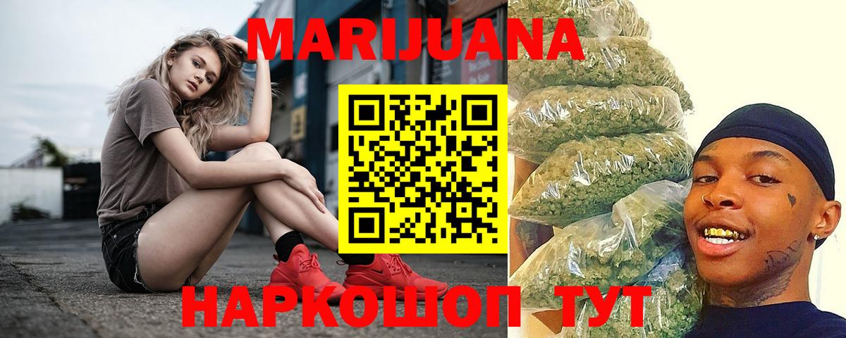 Каннабис сатива  Канаш  Бошки Шишки сатива  Канабис SATIVA & INDICA 
